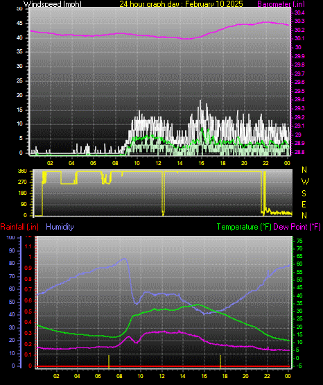 24 Hour Graph for Day 10
