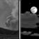 Tonight: Patchy smoke before 11pm. Partly cloudy. Low around 60, with temperatures rising to around 62 overnight. West northwest wind 6 to 10 mph, with gusts as high as 16 mph. Tonight: Patchy Smoke then Partly Cloudy